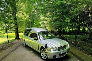 Jaguar Pilato The Queen
